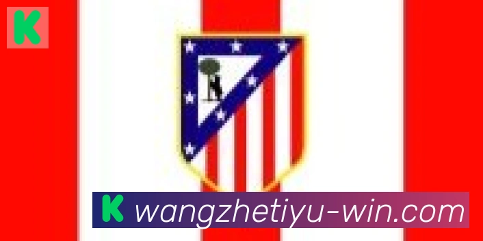王者体育直播合作伙伴